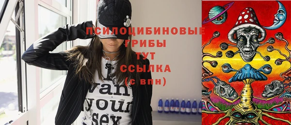 герыч Алексин